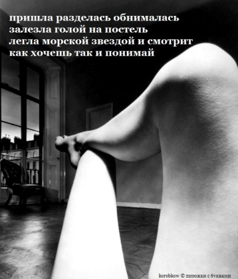4073184.jpg