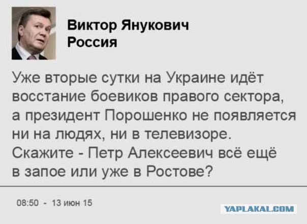 Как правильно делать массаж спины, какие техники и приёмы можно История болезни, F-20 Психиатрия. Творчество