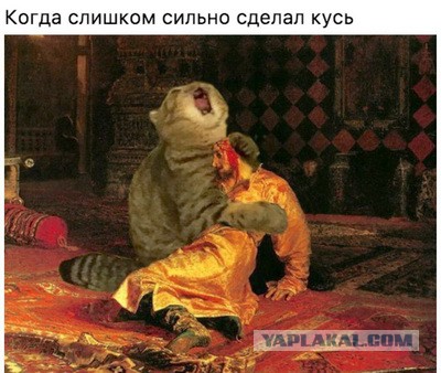 Как помыть пуму