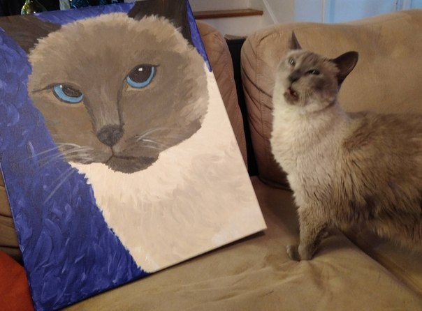Гиперреалистичные кошачьи портреты