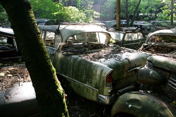 Автомобильное кладбище в лесах Швецарии