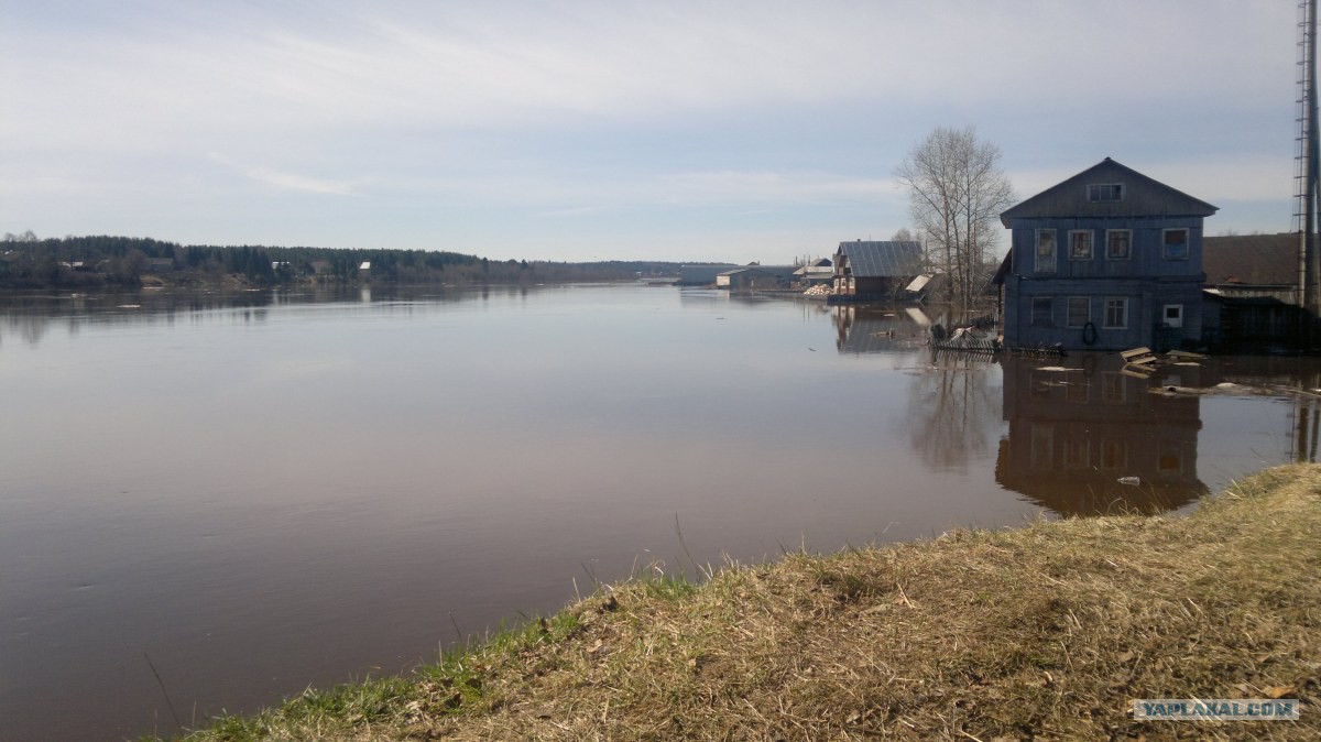 клев рыбы в кичменгском городке клев рыбы в кичменгском городке