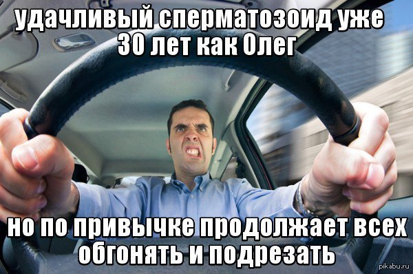 4800005.jpg