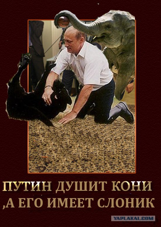 Фотожаба: Путин двинул кони