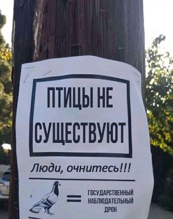 Нестандартный юмор