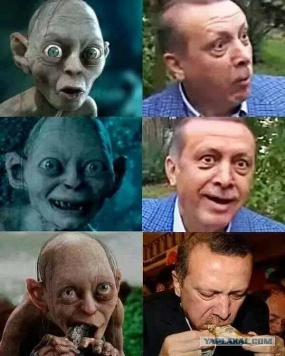 Пожабим Эрдогана?