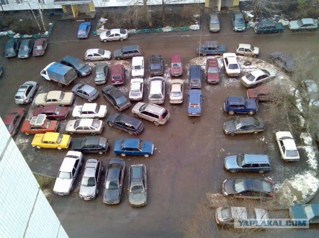 Москвичку убили из-за спора о парковке