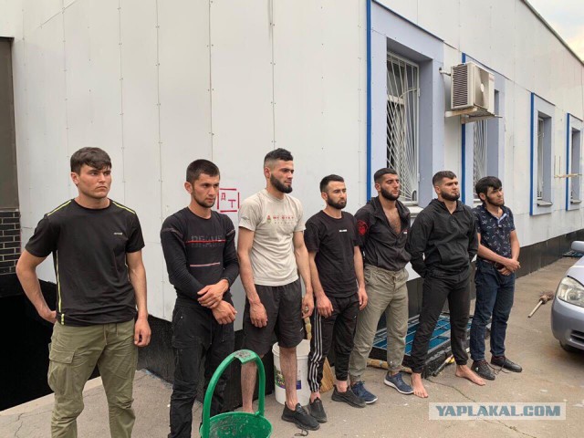 В Москве задержаны граждане Таджикистана, подозреваемые в убийстве мастера спорта по греко-римской борьбе