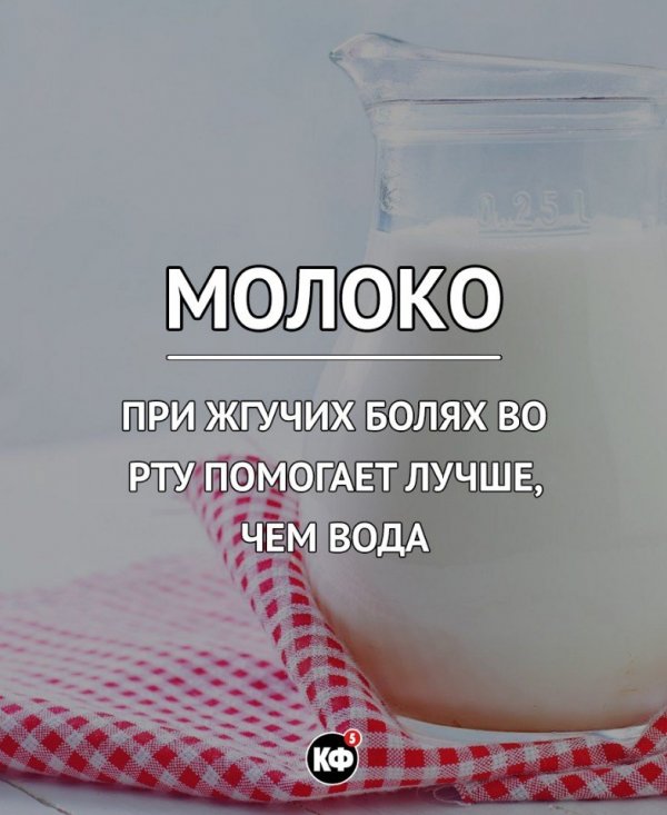 Краткие факты