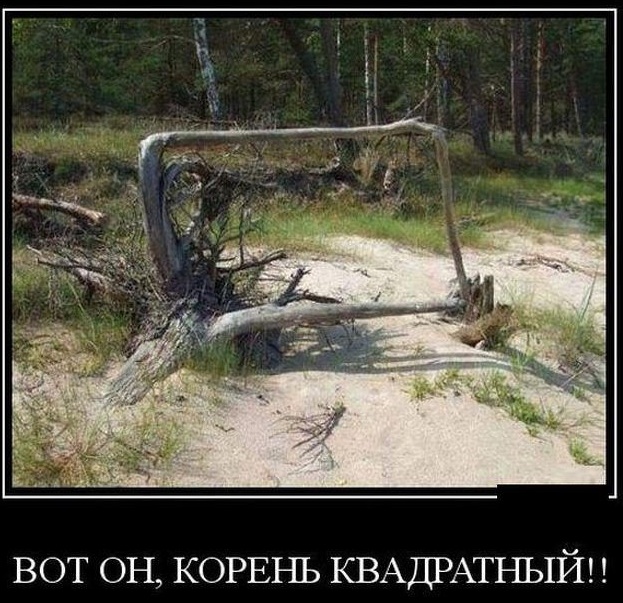 http://s00.yaplakal.com/pics/pics_original/5/1/6/12923615.jpg