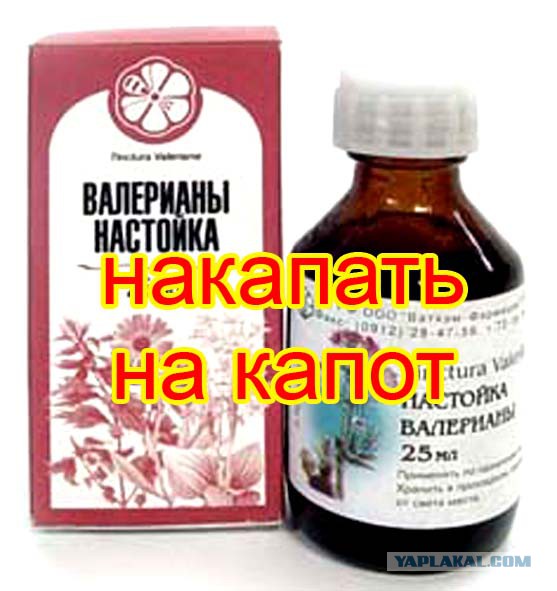 Настойка из валерианы в домашних условиях 594