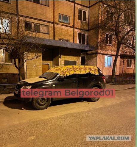 Маскировка автомобилей в Белгороде