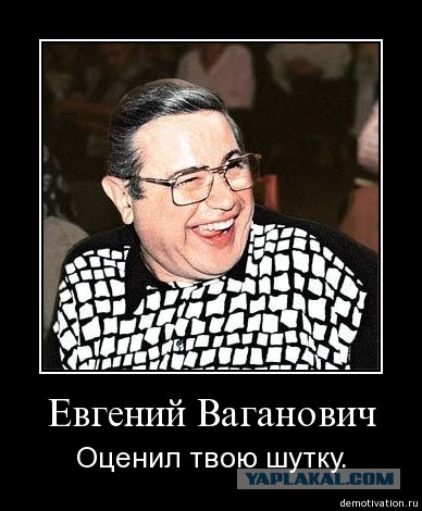 Предвыборный юмор по-украински (коте одобряет)