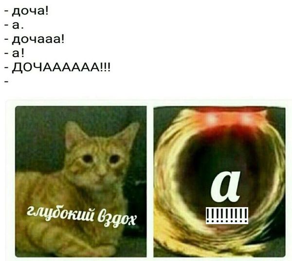 Куда катится жизнь