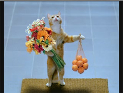 http://s00.yaplakal.com/pics/pics_original/5/3/3/3167335.jpg