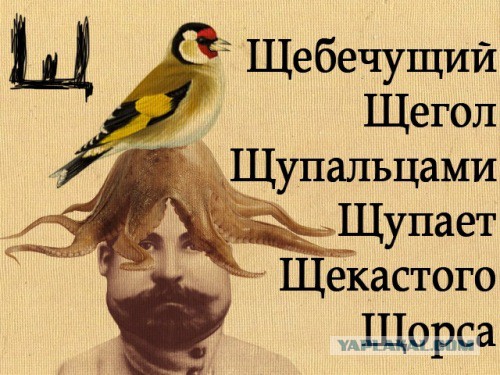 9 интеллектуальных шуток, которые поймут только те, кто знает толк в русской классике