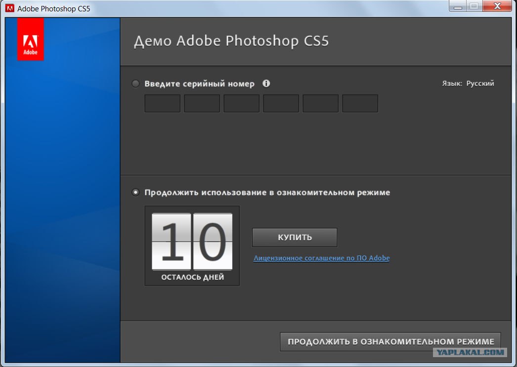 Download Adobe Serial Number