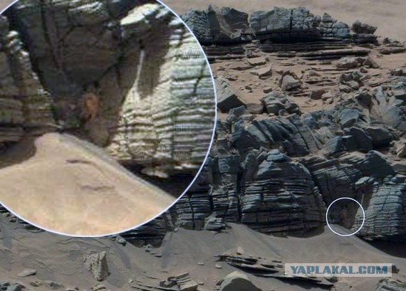 От NASA потребовали найти «марсианского краба»
