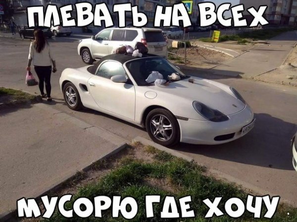 Автовсячина