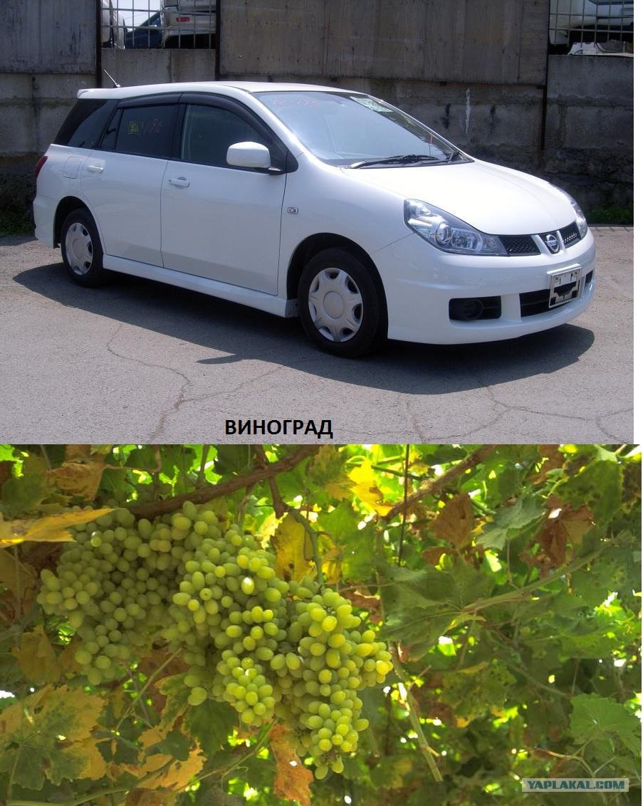 Машина виноград