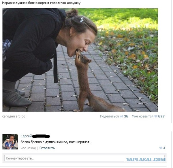 6705245.jpg