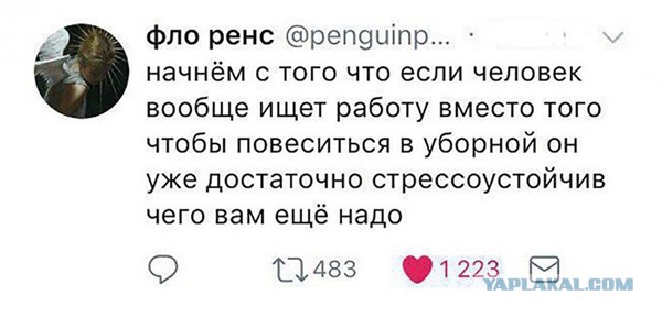 В Албании хозяину ресторана не понравилось, как туристы из Испании оценили ростбиф