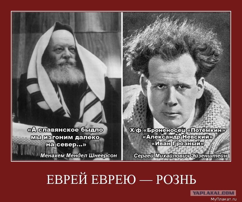 Вот за это вас евреев и не любят анекдот Вот за это вас евреев и не любят анекдот
