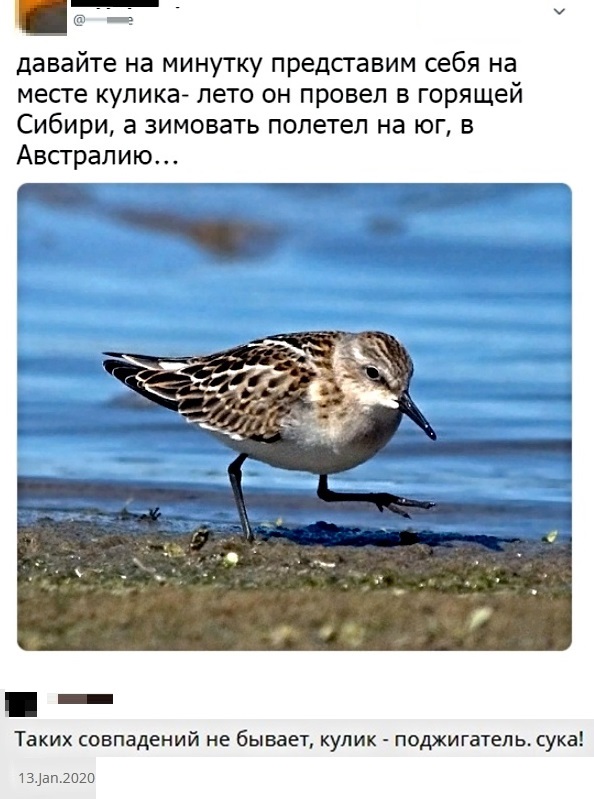 http://s00.yaplakal.com/pics/pics_original/5/4/7/13874745.jpg