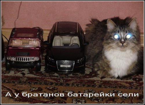 Поздравления для завгара Поздравления для завгара