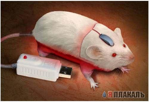 Концептуальные Usb-флешки