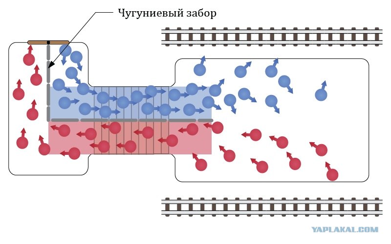Чего же вы строем не ходите Чего же вы строем не ходите