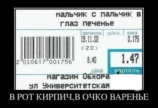 6816055.jpg