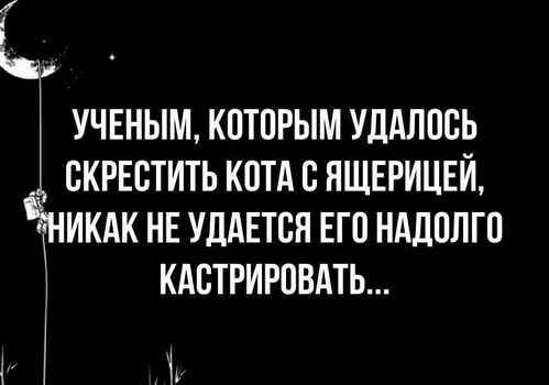 Медицинской деградацией по скуке и здравому смыслу!