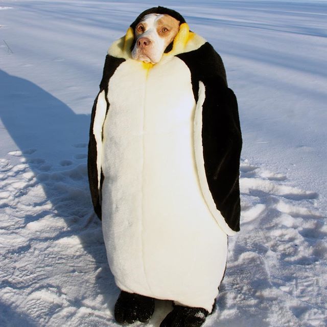 Порция картинок на выходные