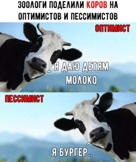 Не очень адекватный юмор