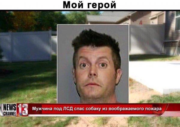 Приколы в стиле "регресс"