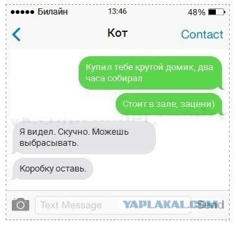 Если бы коты писали смс 2