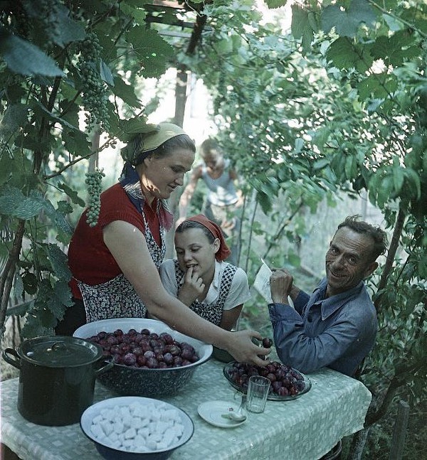 25 тёплых фотографий с ностальгией о прошлом, когда трава казалась зеленее, а небо выше