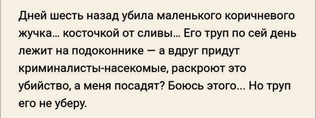 Анекдоты, соц-сети, истории и картинки с надписями