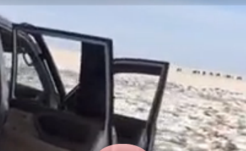 Цитата у нас будет лучше видео Цитата у нас будет лучше видео