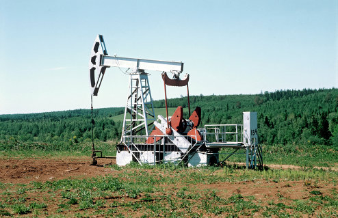 Сколько стоит добыть нефть на приусадебном участке