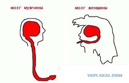 Мужские разговоры