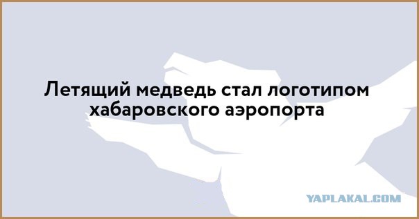 Утро в Хабаровске