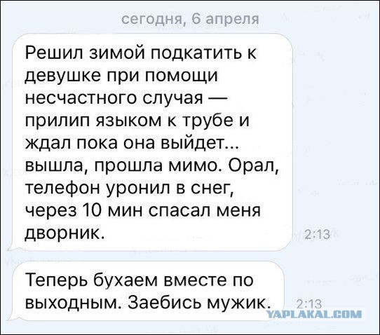 Смешные картинки