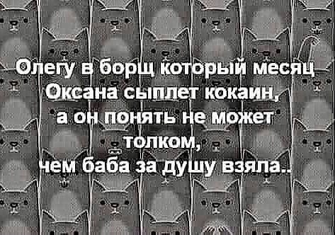 Стандартный юмор #3