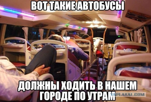 3600675.jpg