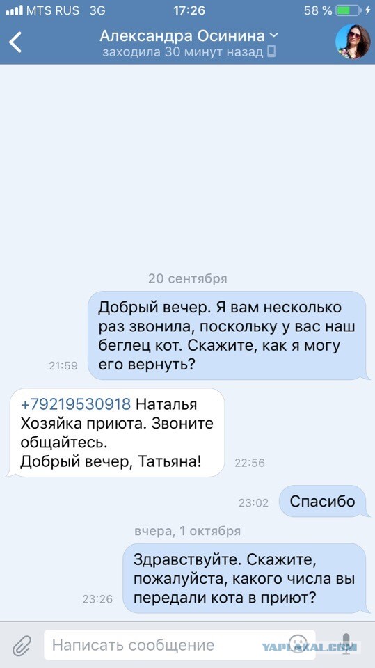 Помогите вернуть кота! Приют "Преданное сердце" украл кота и не отдает!