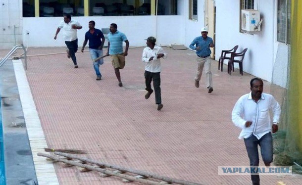 В Индии леопард напал на школу: шестеро раненых
