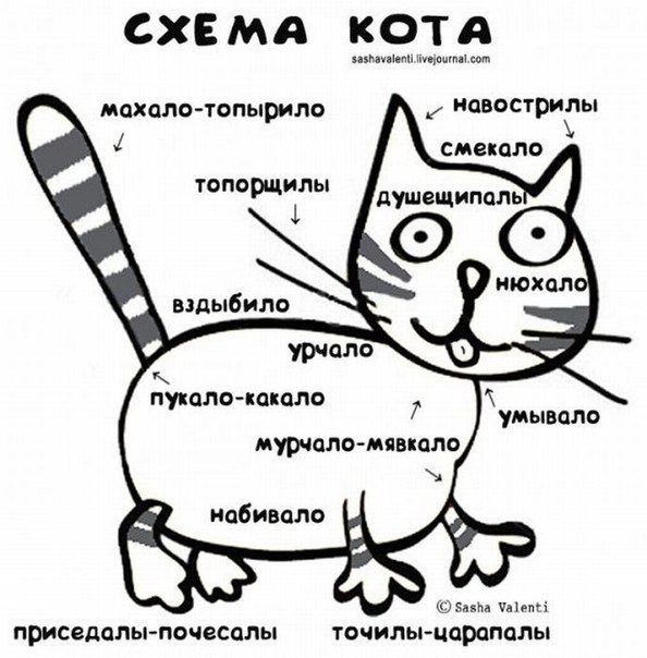 Коты и кошки угрожают экономике России