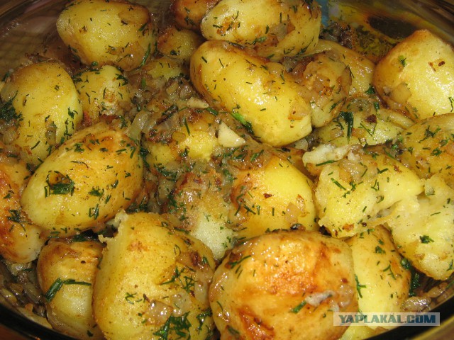 Жареная круглая картошка